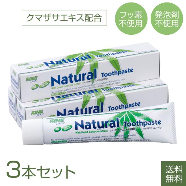 歯磨き粉 3本セット エパック21 ニューナチュラルハミガキ フッ素なし 口臭 歯周病 はみがき