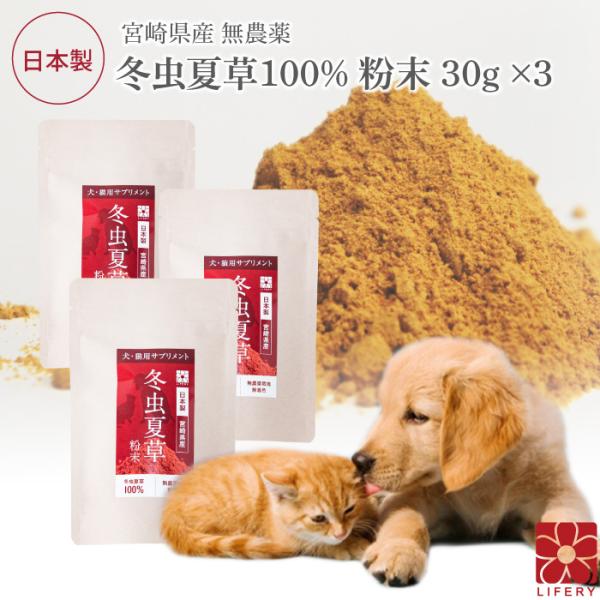 本品は犬猫用の粉末状のサプリメントです。【原材料】 冬虫夏草末【内容量】 1袋 30ｇ 【保存方法】 高温多湿を避け保存して下さい。冷蔵庫で保存しても品質は落ちません。【生産国】 日本【賞味期限】製造日より2年 ◆ このようなペットにおすす...