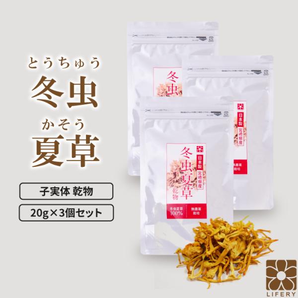 【原材料】 冬虫夏草子実体【内容量】 3袋 セット 1袋 20g【保存方法】 直射日光・高温多湿な場所を避けて保存して下さい。【生産国】 日本◆ 冬虫夏草とは ◆冬虫夏草はキノコの一種です。万病の薬と言えるほどさまざまな働きがあることが知ら...
