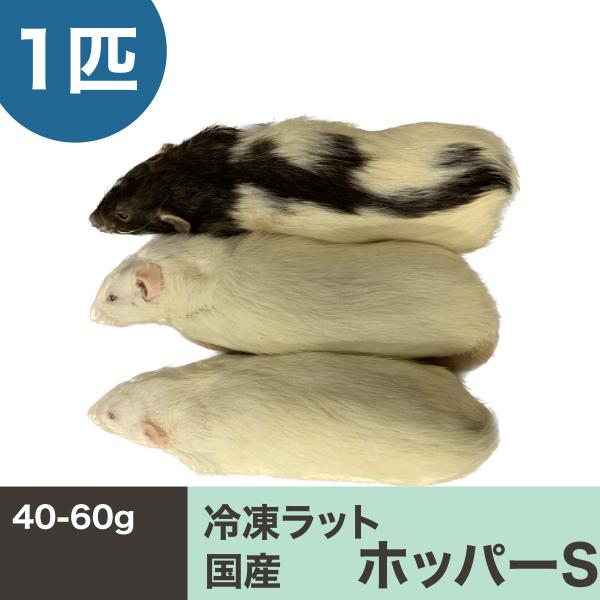 ◆国産冷凍ラット　サイズ：ホッパーS１匹４0〜６0グラム◆爬虫類、猛禽類、大型魚等の冷凍餌◆真空パック個包装で鮮度◎解凍の際もパックのままで、餌が濡れることはありません！◆高栄養で消化も良くブリードを考えている方にもオススメ◆湯せん温度60...