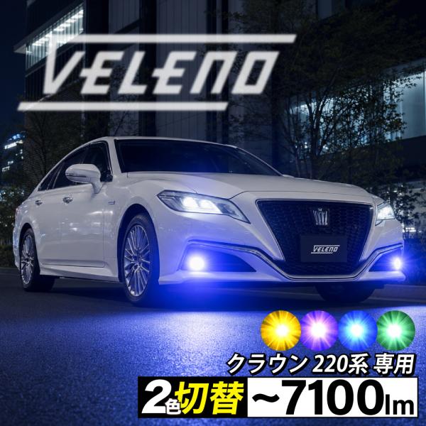フォグランプ 2個セット 約20cm reiz_f039-1