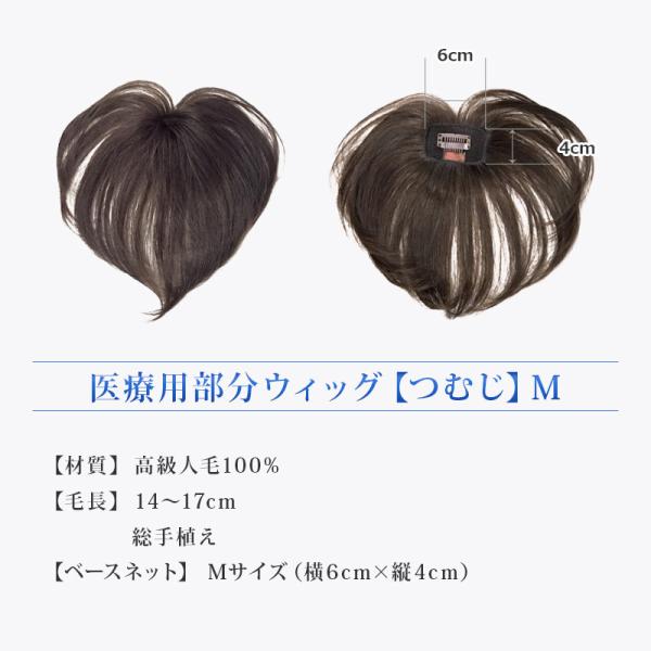つむじ用部分ウィッグ かつら Mサイズ 人毛100 薄毛 白髪 トップピース 女性 白髪隠し ボリュームアップ 黒 茶送料無料 ランキング1位獲得 ライツフォル Buyee Buyee 日本の通販商品 オークションの代理入札 代理購入