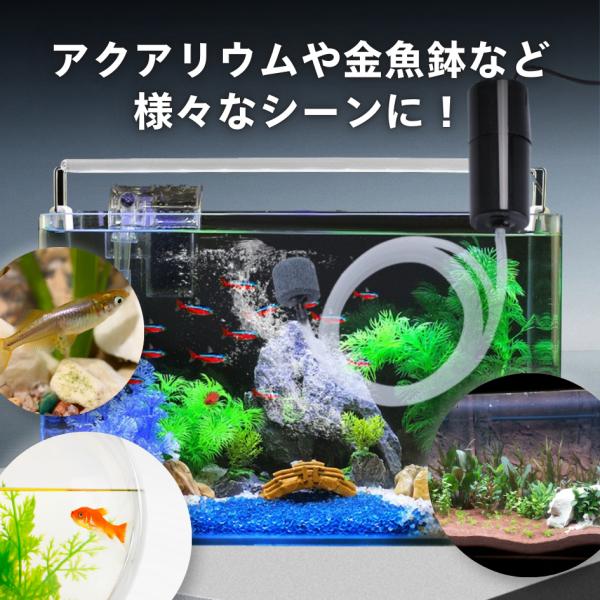 rekukoa_airpump_1_d_20250121184301