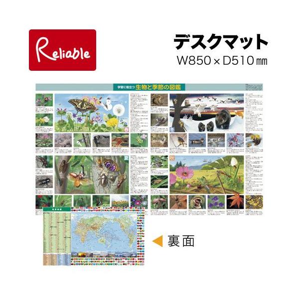 見た目もすっきり、両面透明マットは、リバーシブルタイプです。[サイズ]W850×D510mm[材質]塩化ビニールシート[備考]●キズ・ヨゴレ・黄ばみ・反りに強く、長持ちする素材です。●コピー紙をはさんでも文字などがマットに移りにくい転写防止...