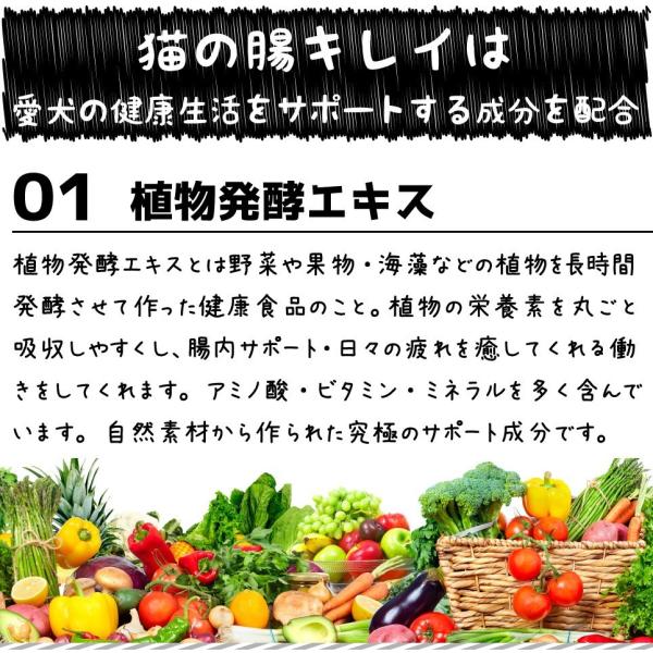 ペットサプリメント 猫の整腸 猫の腸キレイ プロポリスエキス 送料無料 