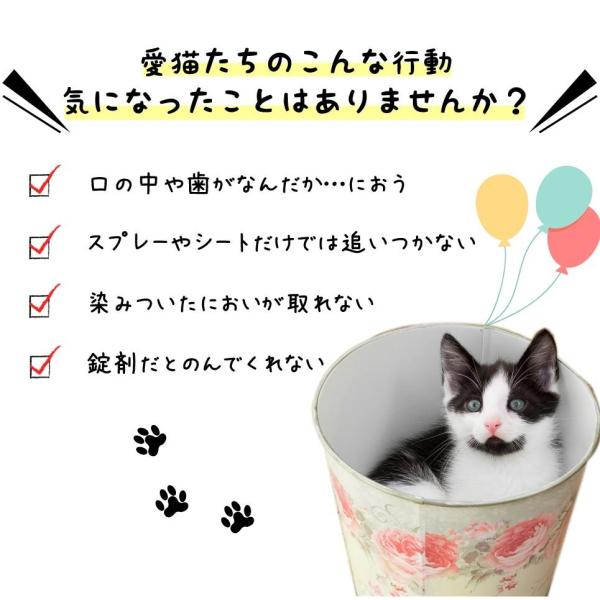 ペットサプリメント 猫の消臭 猫の口臭 猫のにおわニャい 送料無料 