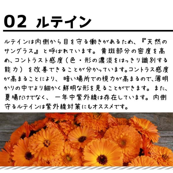 ペットサプリメント ドッグサプリ 犬のキラキラアイ ブルーベリー ルテイン 送料無料 アイケア 犬の目 犬の瞳 ドッグフード プロポリス ビール酵母 Buyee Buyee Japanese Proxy Service Buy From Japan Bot Online