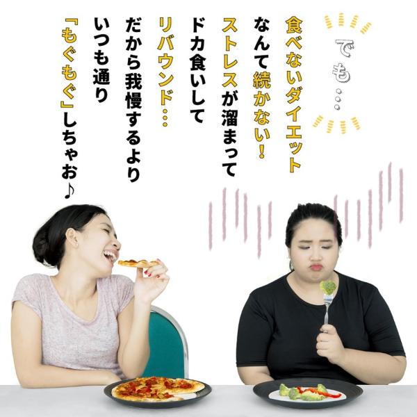 サラシア 白インゲン豆 女性 酵母 もぐもぐリセット送料無料 乳酸菌生産物質 イヌリン ギムネマ 桑の葉 サプリメント 糖質制限ダイエット Buyee Buyee 日本の通販商品 オークションの代理入札 代理購入