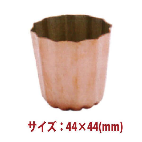 XC[c^Eَq^FJk^44×44(mm) SN6501