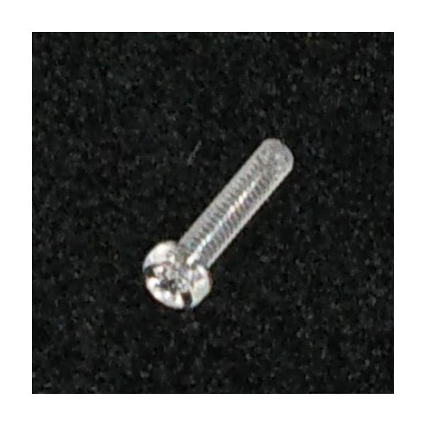 （+）なべ小ねじ透明　M2×10mm