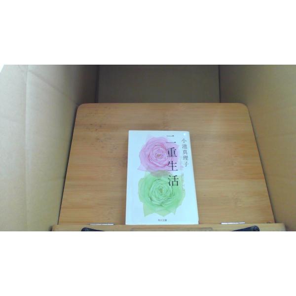 remottai-3_260420132614dag