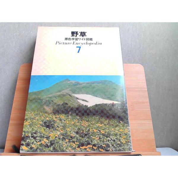 野草　原色学習ワイド図鑑7　ヤケシミ有 1974年3月1日 発行