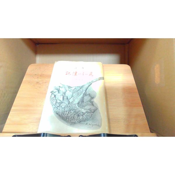 remottai-4_240415140138adza