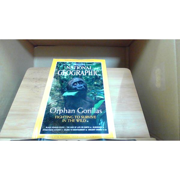 NATIONAL GEOGRAPHIC 2000年2月 Orphan Gorillas