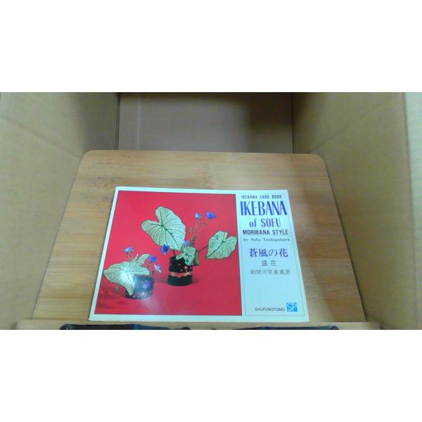 IKEBANA of SOFU 蒼風の花シミ　ヤケ　有