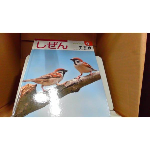 しぜん すずめ　キンダーブック92016年9月 初版発行カバー無し　多少のキズ汚れ有　