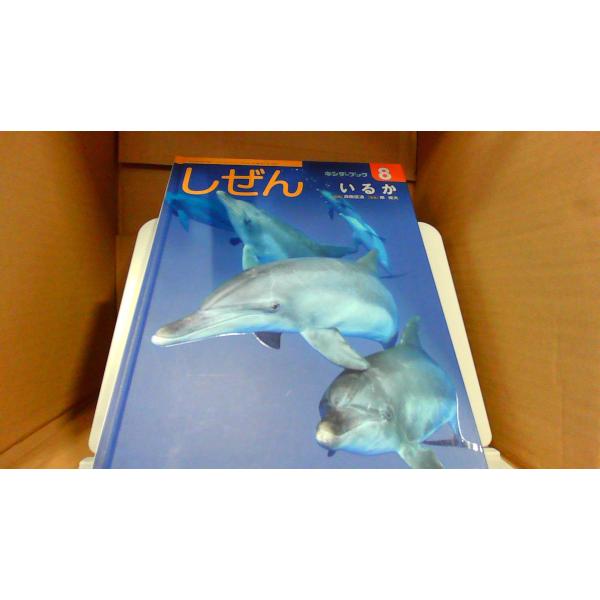 しぜん　いるか　キンダーブック82014年8月 初版発行カバー無し　多少のキズ汚れ有　