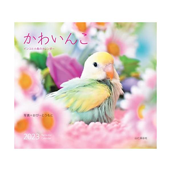 カレンダー2023 かわいんこ インコと小鳥のカレンダー (月めくり/壁掛け) (ヤマケイカレンダー2023)