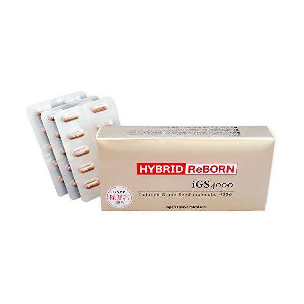 ハイブリッドリボーン HYBRID ReBORN 30カプセル(約1ヶ月分 