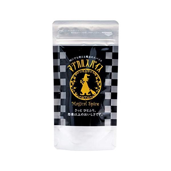 他サイト： ライフテック マジカルスパイス 袋 110gの商品画像
