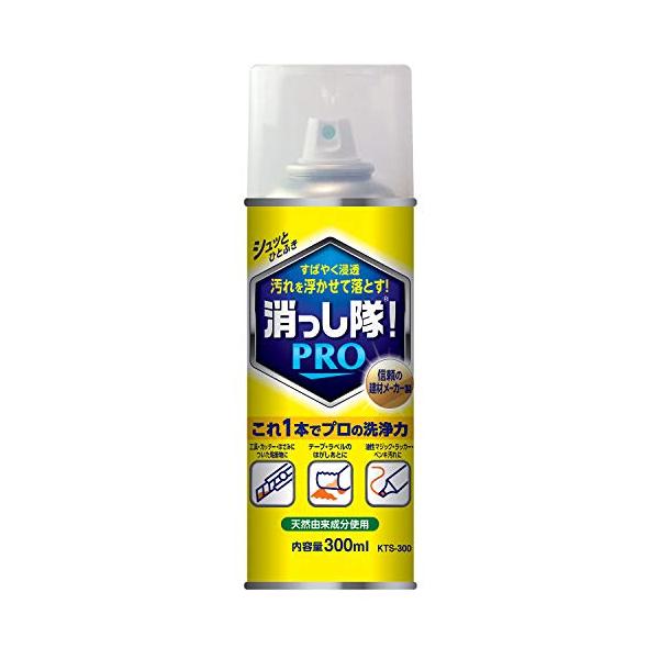 300ml-/300ml/KTS-300・Size:300mlStyle:300ml・パッケージ個数:1・様々な汚れをこれ1本でアッという間に落とす・内容量:300ml・付属品:ガス抜きキャップ・高圧ガス:LPG・最大使用可能面積:18平方...