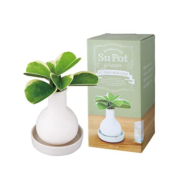 Beauwell (ビューウェル) ス・ポット 観葉 加湿器 ホヤカーリー 1個(植物 簡単)