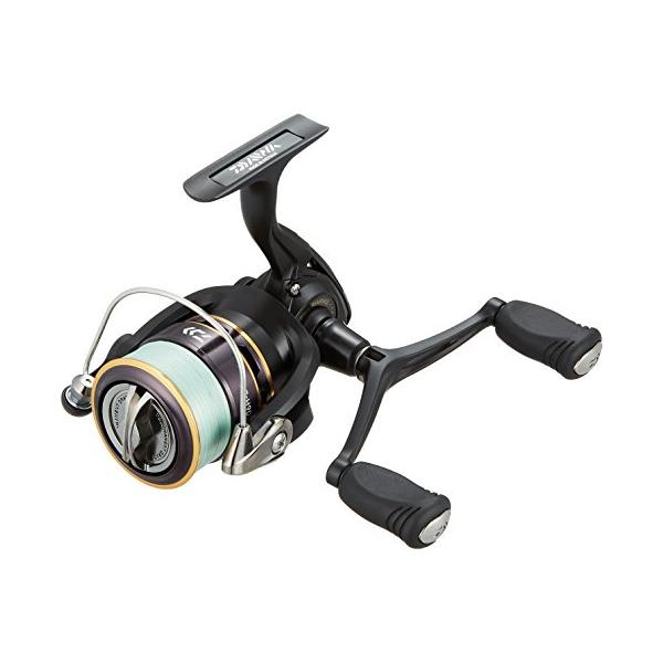 ダイワ(DAIWA) １６リーガル ２５０６Ｈ−ＤＨ ＰＥツキ