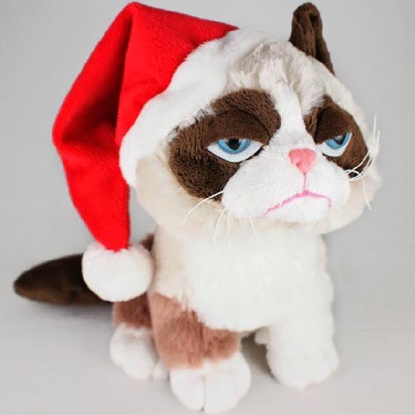 Os[Lbg Grumpy Cat T^ nbg LGANZ KYs@ȔL lR ObY A ʂ Gӂӂ NX}X #HXGC003