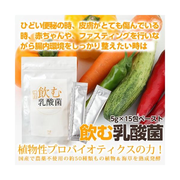 飲む乳酸菌 5g 15包 ペースト 植物性プロバイオティクス 腸内環境 粒が苦手な方 サプリメント アトピー 素肌美 Buyee Buyee 提供一站式最全面最專業現地yahoo Japan拍賣代bid代拍代購服務 Bot Online