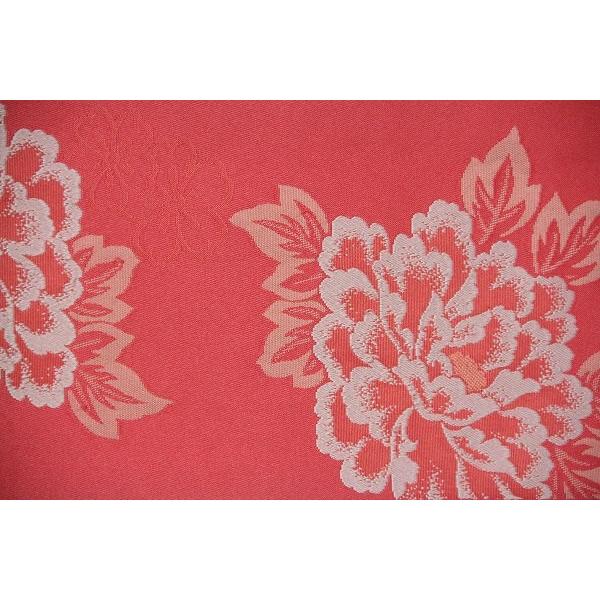 赤色地　濃ピンク　牡丹（ボタン）　バラ（薔薇）
