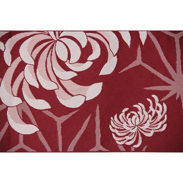 赤地　菊　乱菊　破れ麻葉文