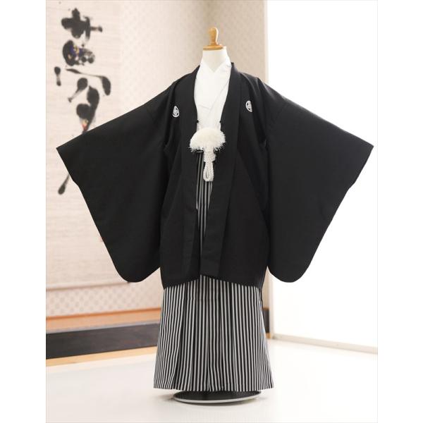 10歳 男の子 ジュニア 羽織袴レンタル d1073 男の子 フルセット 子供袴 着物レンタル ９歳〜１２歳 小学生 1/2成人式 卒業式 結婚式 イベント 発表会 黒羽織に白地着物×グレー縞袴【サイズ】身長…140cm〜150cm位【素　...