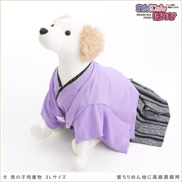 犬の着物レンタル 大型犬 男の子 d3l-004 ペット衣装 往復送料無料