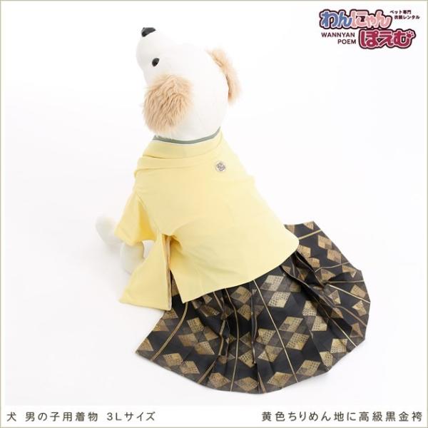 犬の着物レンタル 大型犬 男の子 d3l-005 ペット衣装 往復送料無料