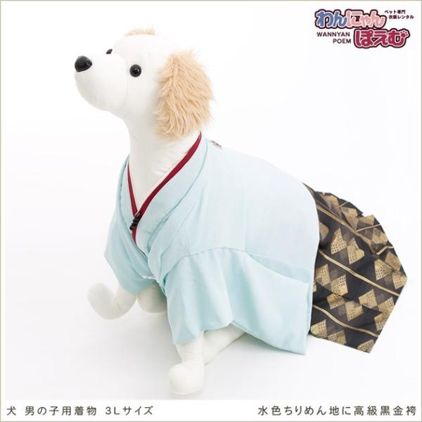 ペット着物レンタル 大型犬 男の子 d3l-007 ペット衣装 犬の着物 動物衣装 往復送料無料 高級生地 かわいい 結婚式 七五三 撮影会 かっこいい「水色ちりめん地に高級黒金袴」【おすすめ用途】 七五三・初詣・結婚式・イベント・撮影会な...