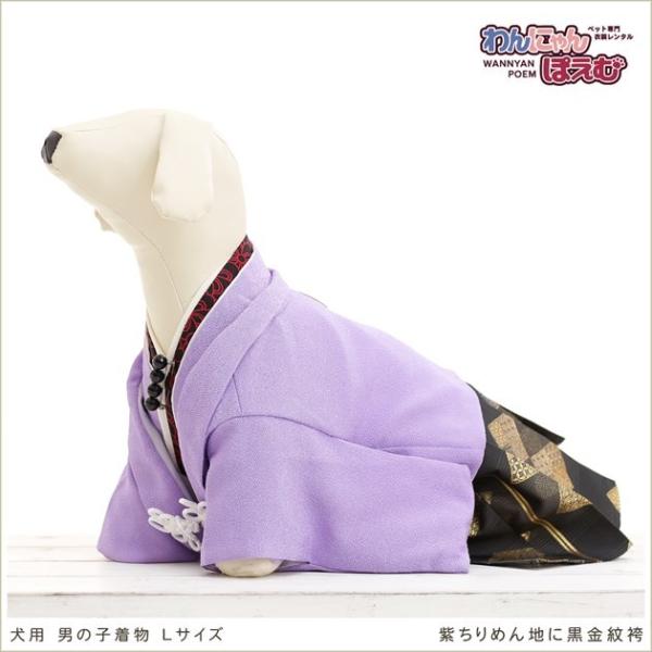 ペット着物レンタル 中型犬 男の子 dl-007 ペット衣装 犬の着物 動物衣装 往復送料無料 高級生地 かわいい 結婚式 七五三 撮影会 かっこいい「紫ちりめん地に黒金紋袴」【おすすめ用途】 七五三・初詣・結婚式・イベント・撮影会など【適...