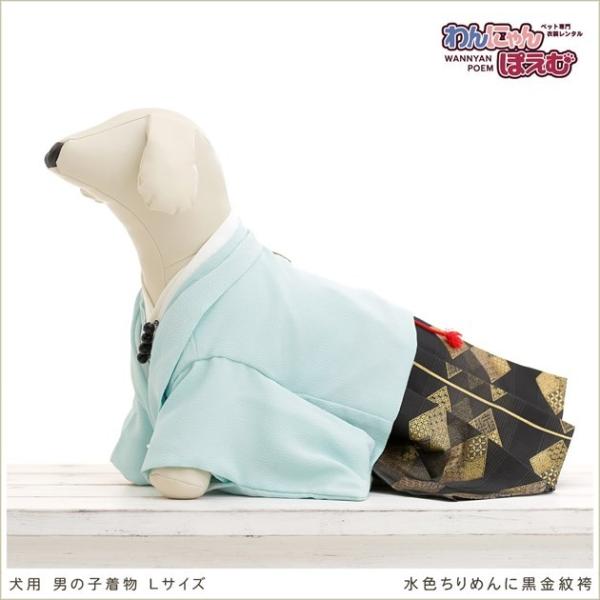ペット着物レンタル 中型犬 男の子 dl-010 ペット衣装 犬の着物 動物衣装 往復送料無料 高級生地 かわいい 結婚式 七五三 撮影会 かっこいい「水色ちりめんに黒金紋袴」【おすすめ用途】 七五三・初詣・結婚式・イベント・撮影会など【適...