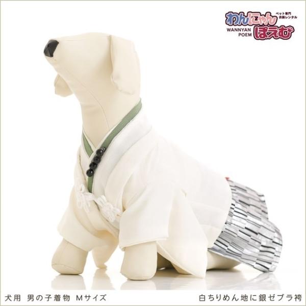 ペット着物レンタル 中型犬 男の子 dm-005 ペット衣装 犬の着物 動物衣装 往復送料無料 高級生地 かわいい 結婚式 七五三 撮影会 かっこいい「白ちりめん地に銀ゼブラ袴」【おすすめ用途】 七五三・初詣・結婚式・イベント・撮影会など【...