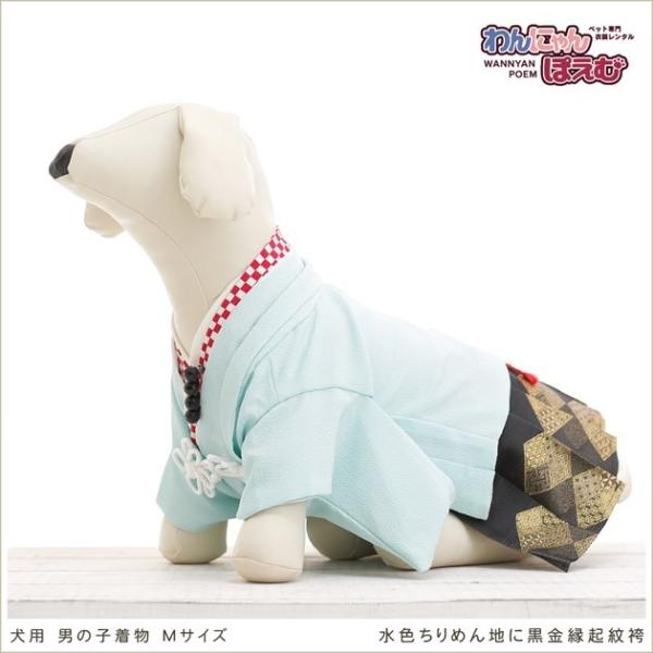 ペット着物レンタル 中型犬 男の子 dm-011 ペット衣装 犬の着物 動物衣装 往復送料無料 高級生地 かわいい 結婚式 七五三 撮影会 かっこいい「水色ちりめん地に黒金縁起紋袴」【おすすめ用途】 七五三・初詣・結婚式・イベント・撮影会な...