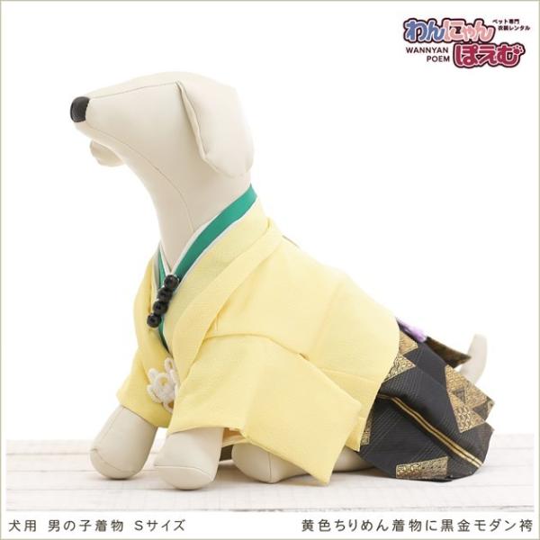 ペット着物レンタル 小型犬 男の子 ds-009 ペット衣装 犬の着物 動物衣装 往復送料無料 高級生地 かわいい 結婚式 七五三 撮影会 かっこいい「黄色ちりめん着物に黒金モダン袴」【おすすめ用途】 七五三・初詣・結婚式・イベント・撮影会...