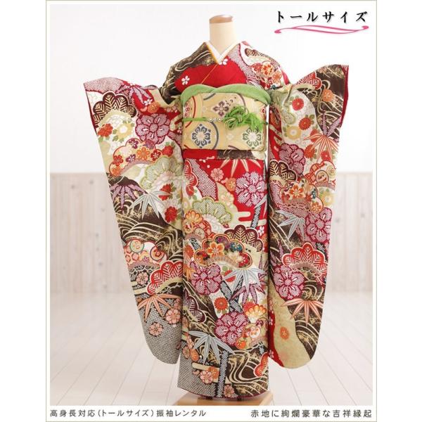 高身長トールサイズ 成人式 振袖レンタル1月 お正月 fb1366ts 振り袖