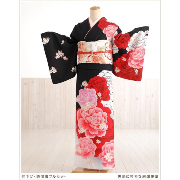 訪問着レンタル 卒業式 母 着物 hw1391 入学式 ママ 粋な着物レンタル