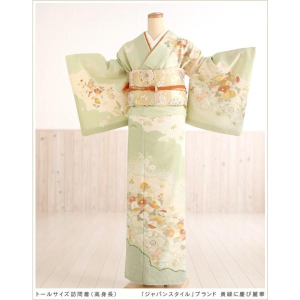 トールサイズ 訪問着レンタル 高身長 卒業式 母 着物 入学式 ママ 粋な着物レンタル フルセット 訪問着 お宮参り 貸衣装 kimono 卒園式 結婚式 七五三 母親 正月 お茶 着物レンタル 往復送料無料 hw1416 「ジャパンスタイ...
