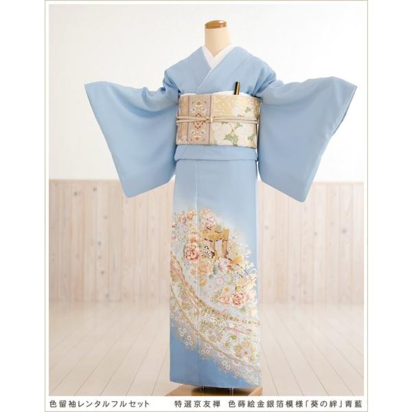 ちぇしゃ 2点おまとめ 友禅 色留袖 五つ紋 rental-poem_it090