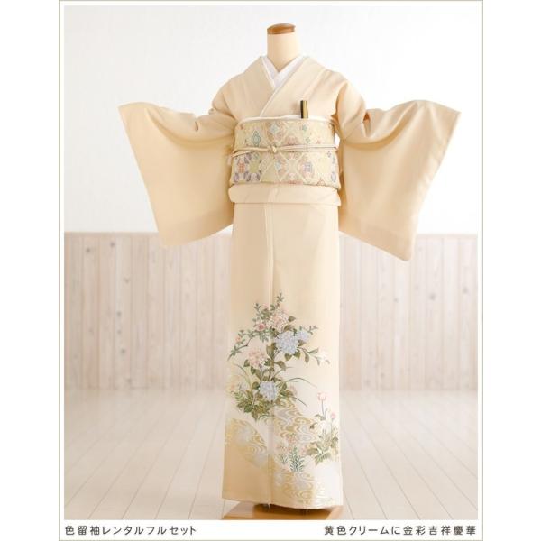 色留袖 レンタル it098 結婚式 着物レンタル 母親 正絹 食事会 叙勲