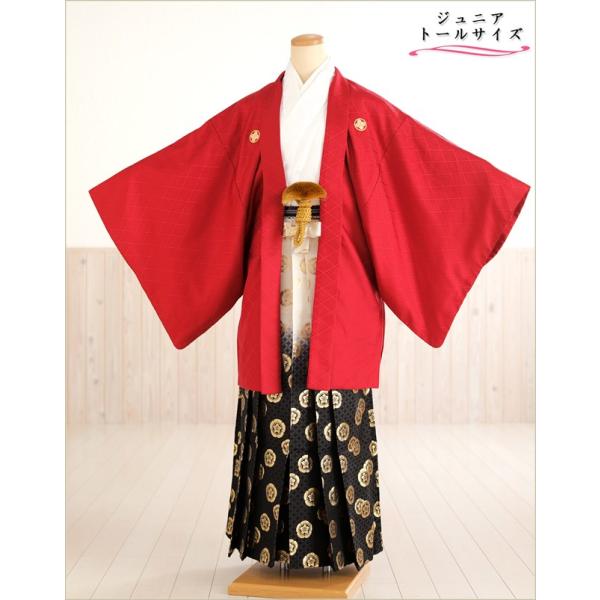 160cm前後対応 小学校卒業式 ジュニア紋付袴レンタル 男 jbmo801-4【フルセット】大きめ12歳前後 小学生 羽織袴 男性着物 貸衣装 kimono イベント 和服 往復送料無料 「紅白着物武田菱×黒金亀甲袴」 【サイズ】身長…1...