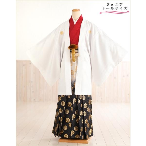 160cm前後対応 小学校卒業式 ジュニア紋付袴レンタル 男 jbmo802-4【フルセット】大きめ12歳前後 小学生 羽織袴 男性着物 貸衣装 kimono イベント 和服 往復送料無料 「白羽織武田菱×赤地着物に黒金袴」 【サイズ】身長...