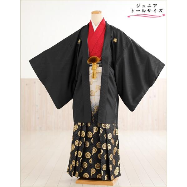160cm前後対応 小学校卒業式 ジュニア紋付袴レンタル 男 jbmo803-4【フルセット】大きめ12歳前後 小学生 羽織袴 男性着物 貸衣装 kimono イベント 和服 往復送料無料 「黒羽織武田菱×赤地着物に黒金袴」 【サイズ】身長...