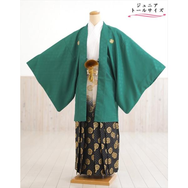 160cm前後対応 小学校卒業式 ジュニア紋付袴レンタル 男 jbmo813-4【フルセット】大きめ12歳前後 小学生 羽織袴 男性着物 貸衣装 kimono イベント 和服 往復送料無料 「緑地羽織に武田菱×白地着物」 【サイズ】身長…1...