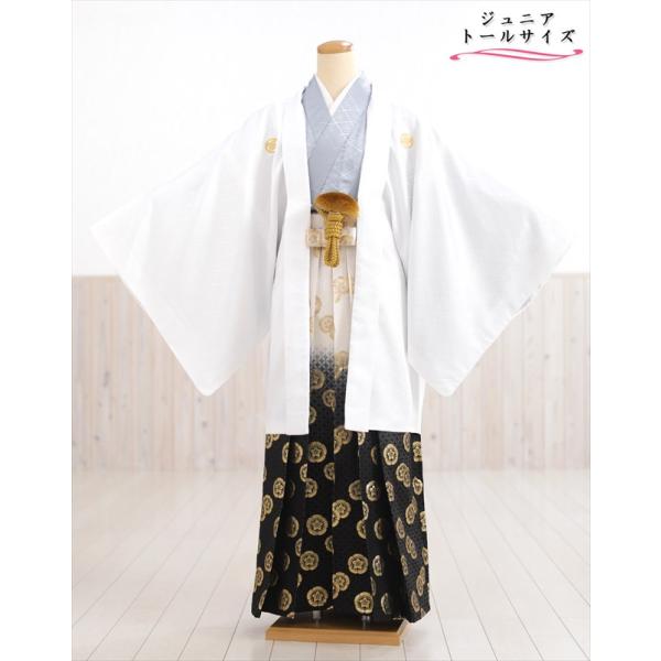 160cm前後対応 小学校卒業式 ジュニア紋付袴レンタル 男 jbmo818-4【フルセット】大きめ12歳前後 小学生 羽織袴 男性着物 貸衣装 kimono イベント 和服 往復送料無料 「白地羽織に武田菱×グレー着物」 【サイズ】身長…...